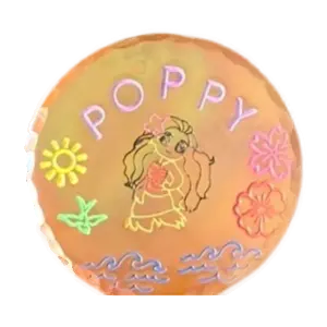 Poppy Holographic — Custom Golf Ball Marker